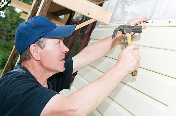 Best Custom Siding Design  in Herscher, IL